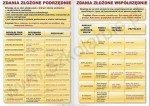 Język polski - gramatyka-składnia W
