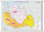 Polska Pierwszych Piastów/Ziemie Polskie w czasie rozbicia dzielnicowego (BP)