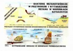 Ekologia - Odnawialne źródła energii cz. II  format A1