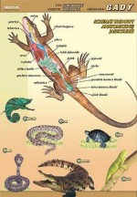 Zoologia